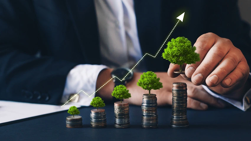 Stock Market / Mutual Fund Distributor